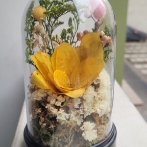 Cápsula con rosa lunaria