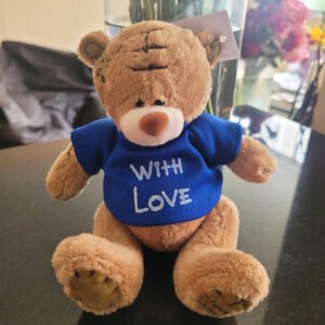 Oso Parche con polo azul