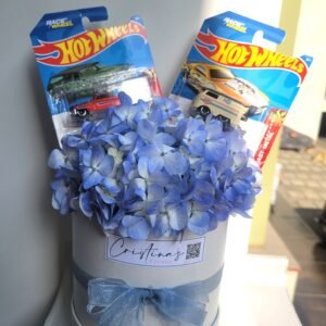 Box de hortensia con 2 HotWheels.