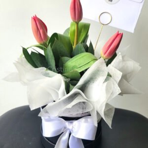 Box de 3 tulipanes