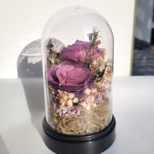 Cápsula con 2 rosas lunarias